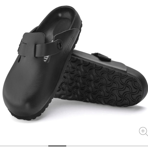 Boston Exquisite - Picture 3 of 9